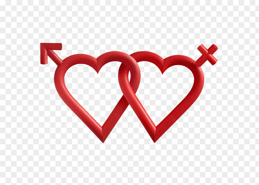 Hearts Of Men And Women Love Heart Clip Art PNG