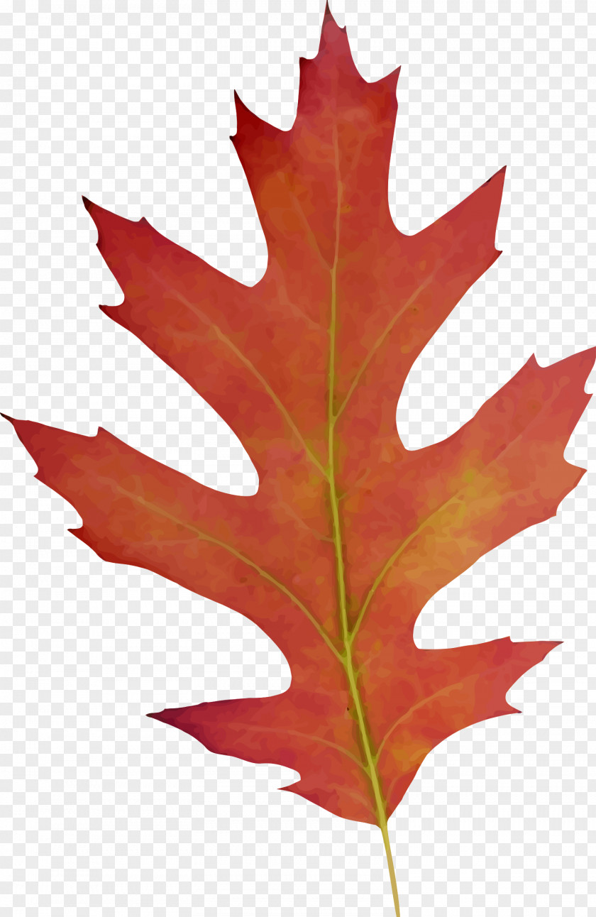 Leaves Leaf Clip Art PNG