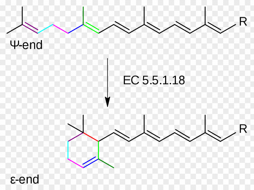 Lycopene Epsilon-cyclase Adenylyl Cyclase Catalysis Enzyme PNG