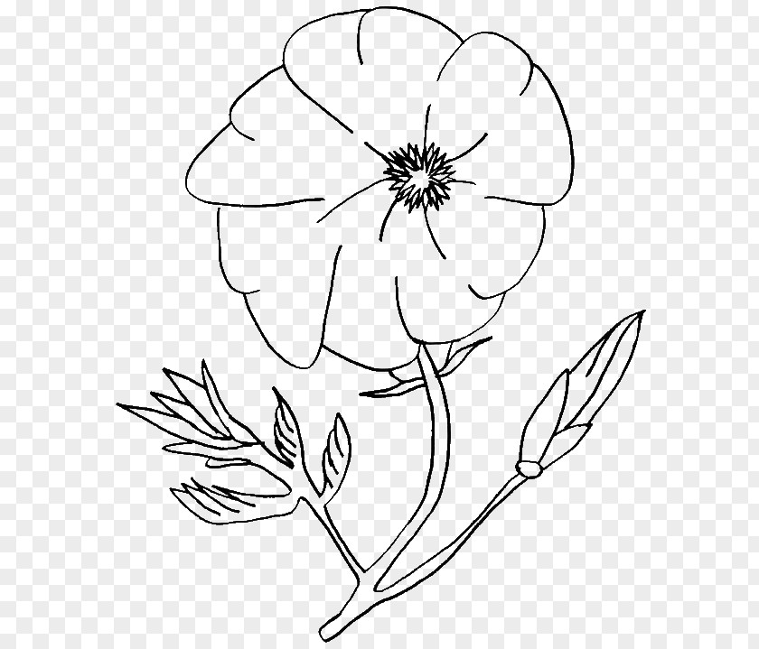 Poppy And Branch Coloring Pages Book Christmas Drawing PNG