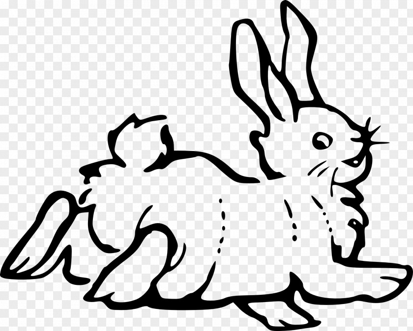 Rabbit Animal Drawing Clip Art PNG