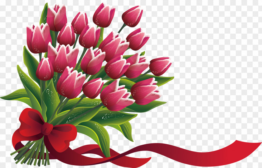 Rose Tulip Flower Adobe Illustrator PNG