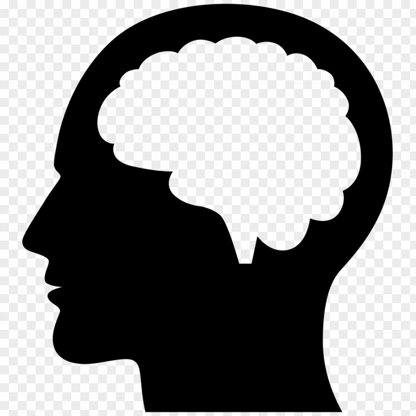Brain Thinking Human Head Clip Art PNG