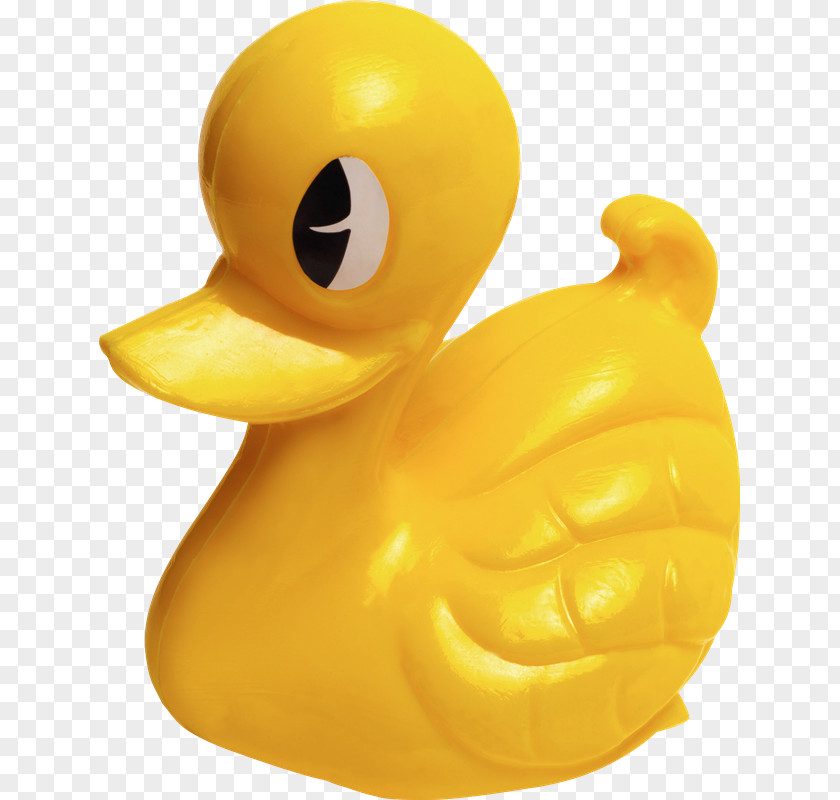 Canal Rubber Duck Toy Bathtub Bathroom PNG