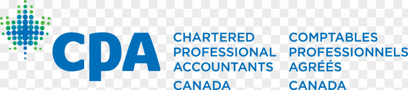 Chartered Accountant Accounting Professional Accountants Of Ontario Certified Public PNG