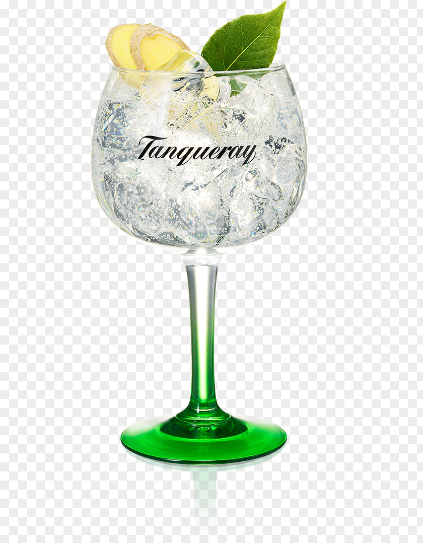 Cocktail Gin And Tonic Tanqueray Water PNG