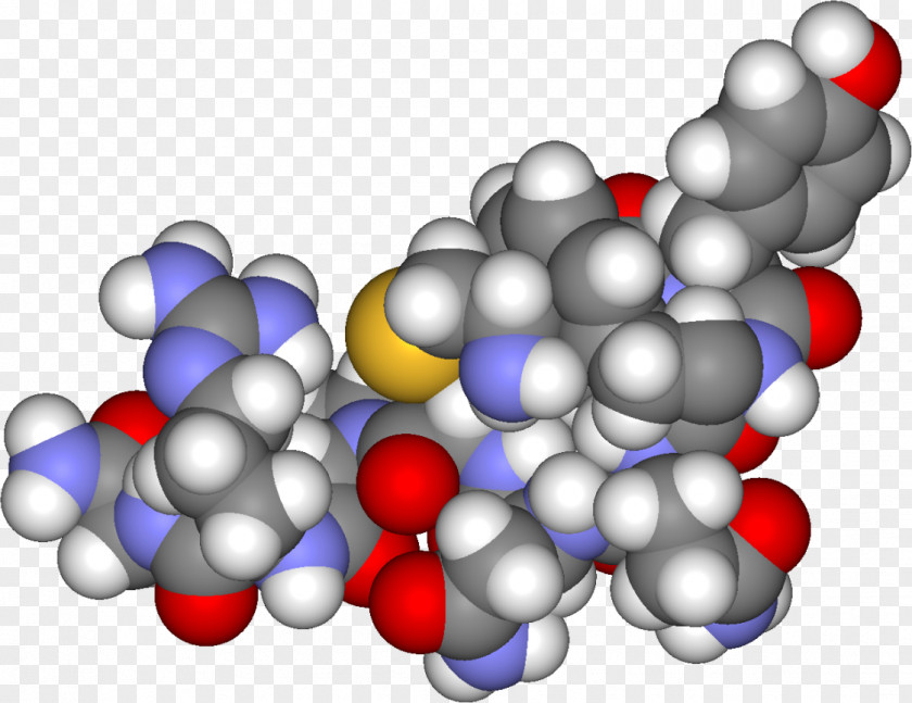 Molecular Chain Vasopressin Syndrome Of Inappropriate Antidiuretic Hormone Secretion Hypothalamus PNG