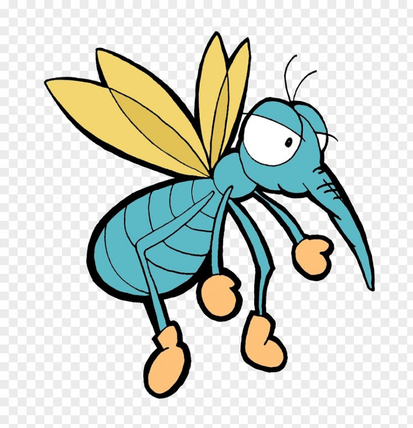 Mosquito Cartoon Animation PNG