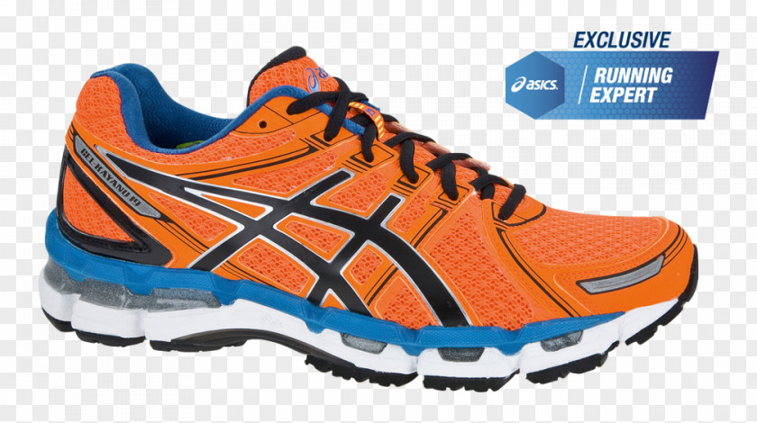 Nike ASICS Sneakers Shoe Running PNG