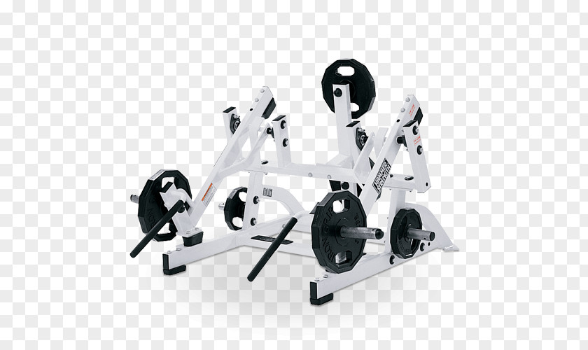 Squat Lunge Exercise Equipment Row Strength Training PNG