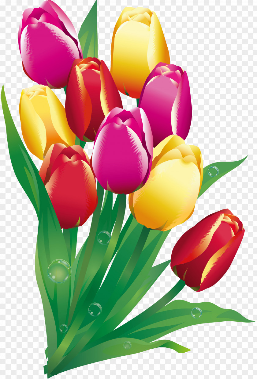 Tulip Easter Christmas Flower Clip Art PNG