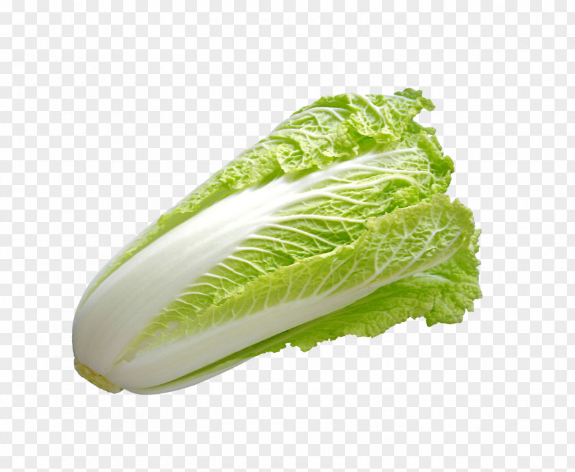 Cabbage Baby Food Vegetable Auglis Chard PNG