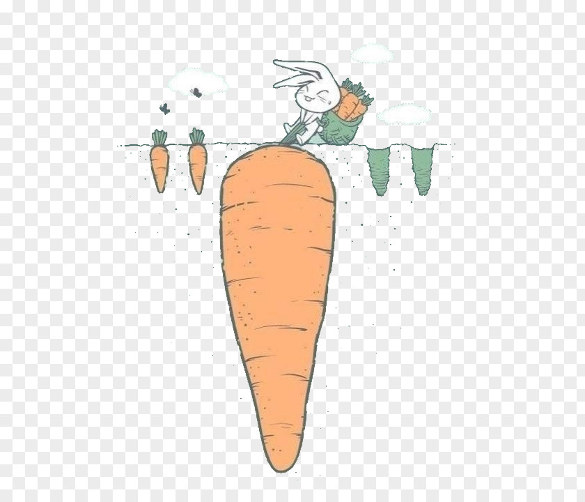 Cartoon Carrot Radish Animation PNG