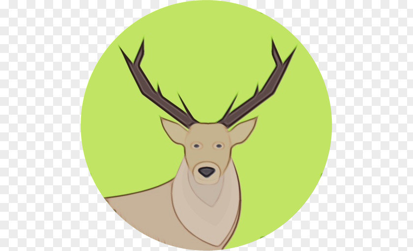 Reindeer Horn PNG