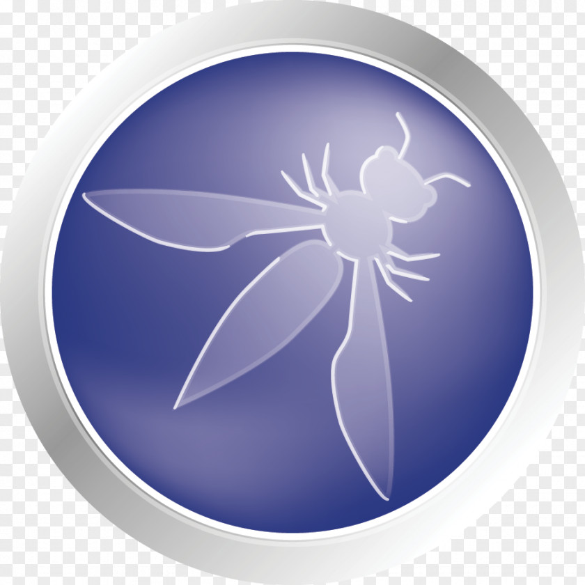 World Wide Web OWASP Application Security Project PNG