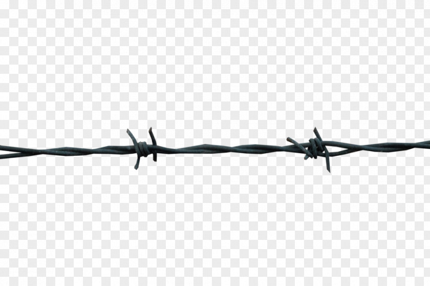 Barbwire Black And White Barbed Wire Design PNG