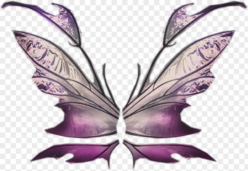 Butterfly Brush-footed Butterflies Fairy Moth Illustration PNG