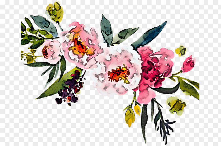 Floral Design PNG