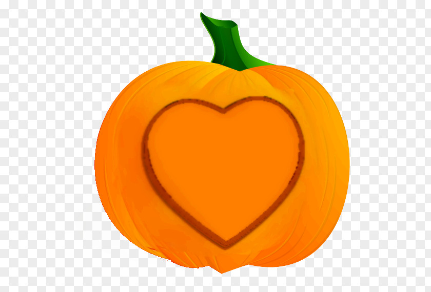 Food Pumpkin Orange PNG