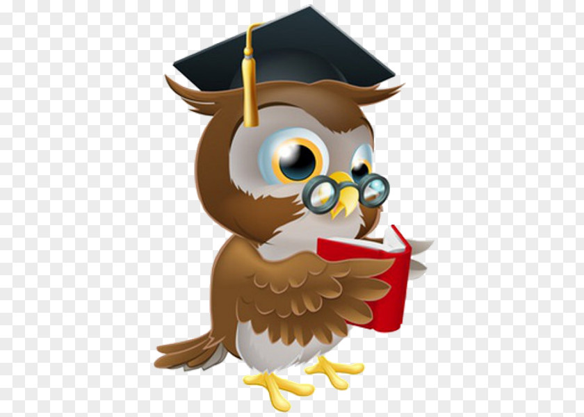 Owl Diploma Professional Certification Academic Degree PNG