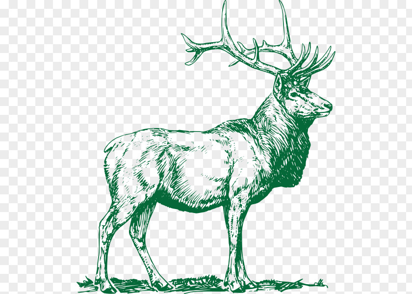 Deer Reindeer Elk Moose Clip Art PNG