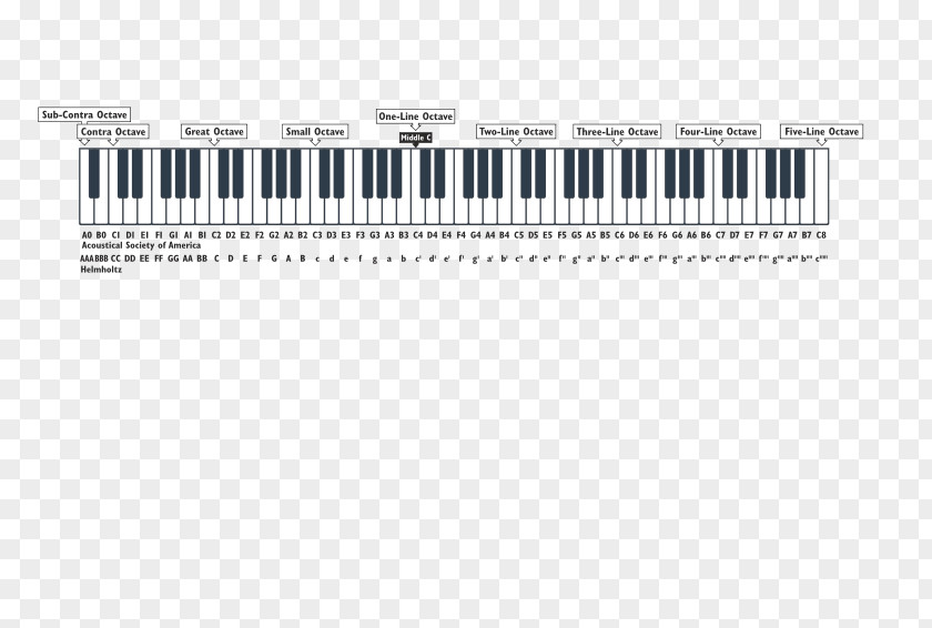 Designation Musical Note Scientific Pitch Notation Vocal Range Human Voice PNG