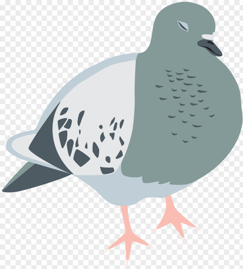 Fly Pigeons Stock Dove Columbidae Bird Homing Pigeon Tote Bag PNG