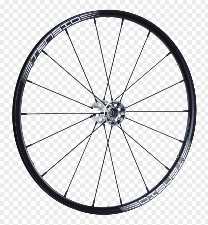 Incontinence Spoke Bicycle Wheels DT Swiss PNG