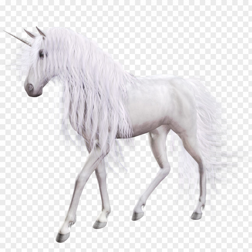 Unicorn Young Woman With Icon PNG