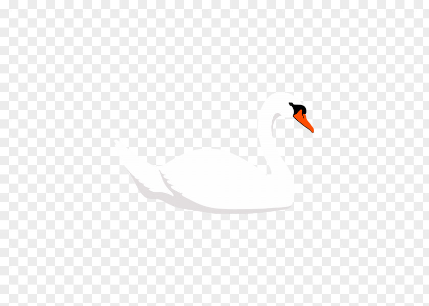 Flat Avatar Bird Beak Product Design Feather Desktop Wallpaper PNG