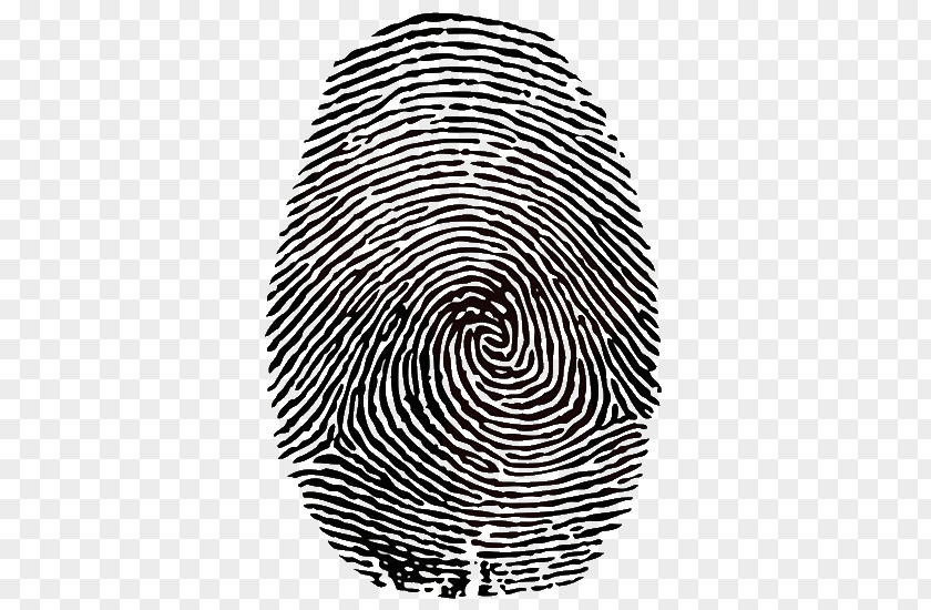 Identity Fingerprint Clip Art PNG