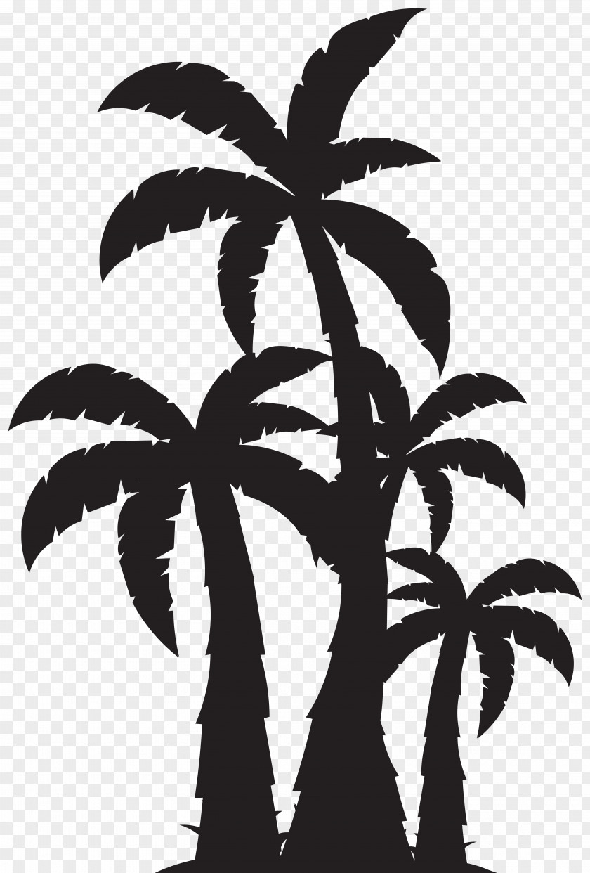 Palm Trees Silhouette Clip Art Image Arecaceae Tree PNG