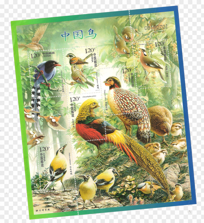 China Bird Postage Stamps Miniature Sheet Holiday Stamp PNG