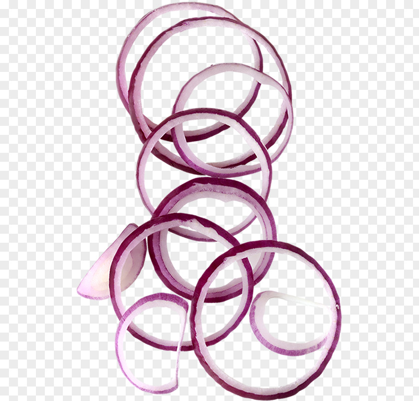 Onion White Home Cousine Clip Art PNG