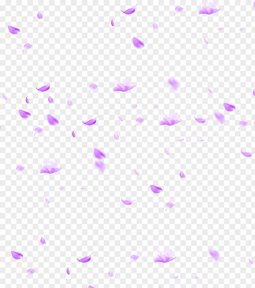Pattern Line Pink M Font Point PNG