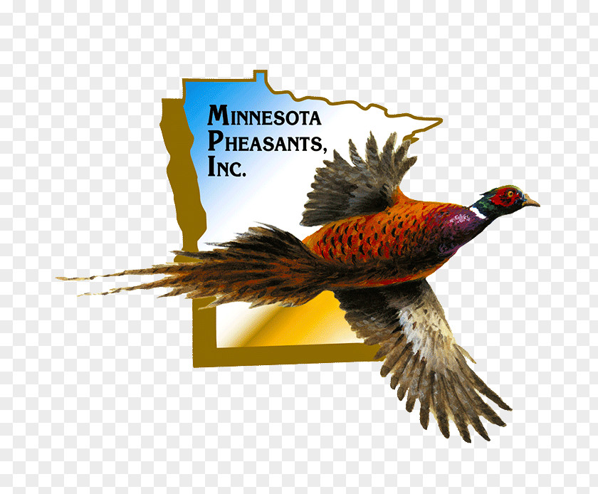 Thunder Ring North Mankato Pheasant Times Area Foundation Information PNG