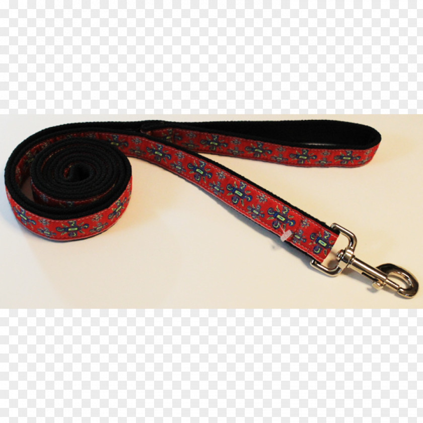 Belt Leash Buckles Strap PNG