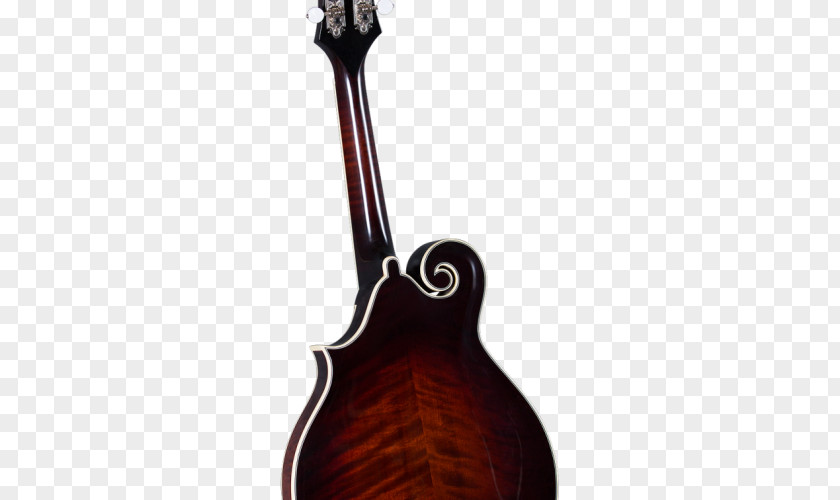 Electric Guitar Acoustic-electric Mandolin Endpin PNG