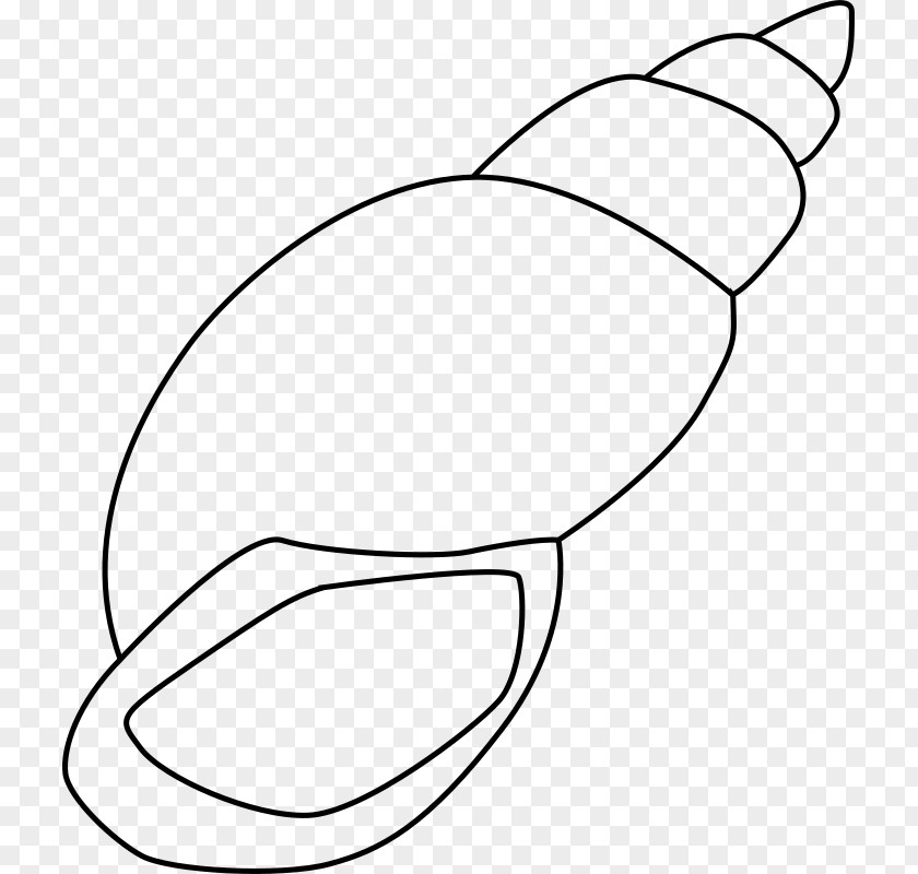 Seashell Clip Art PNG