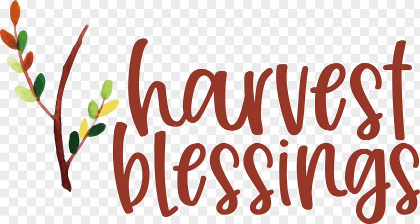 HARVEST BLESSINGS Thanksgiving Autumn PNG