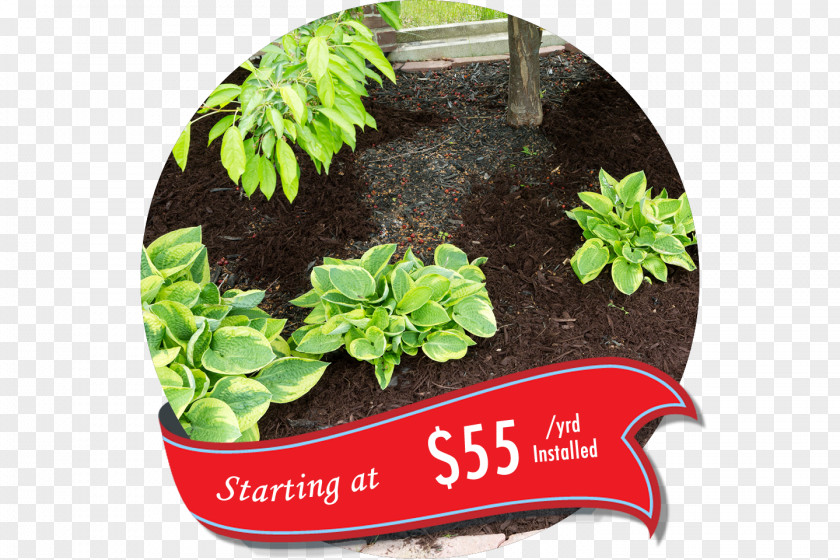 Mulch Flower Garden Gardening Bark PNG