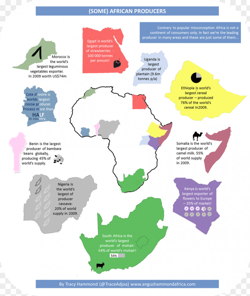 South Africa Infographic Diagram Data Education PNG