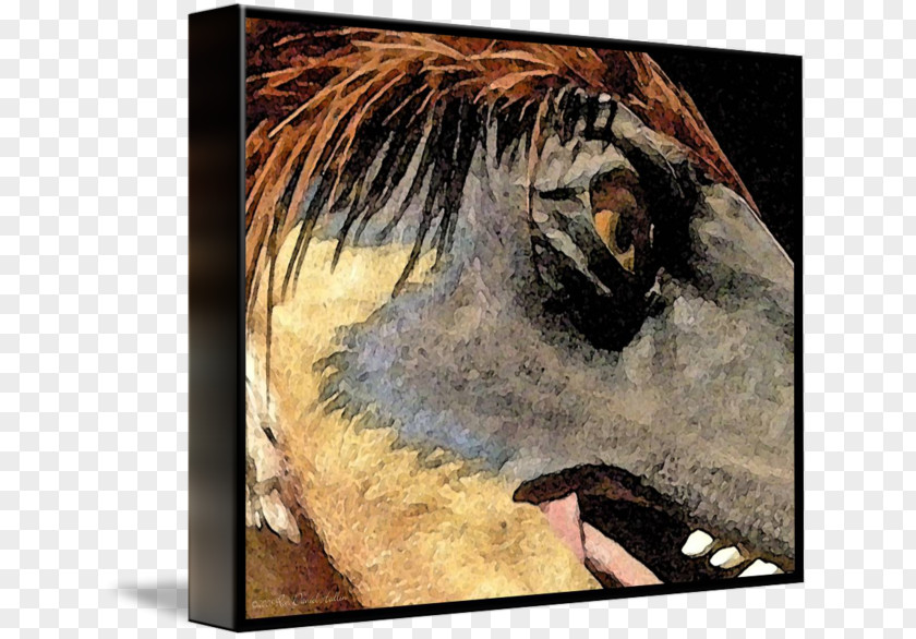 Watercolor Dinosaur Horse Painting Cat Modern Art PNG