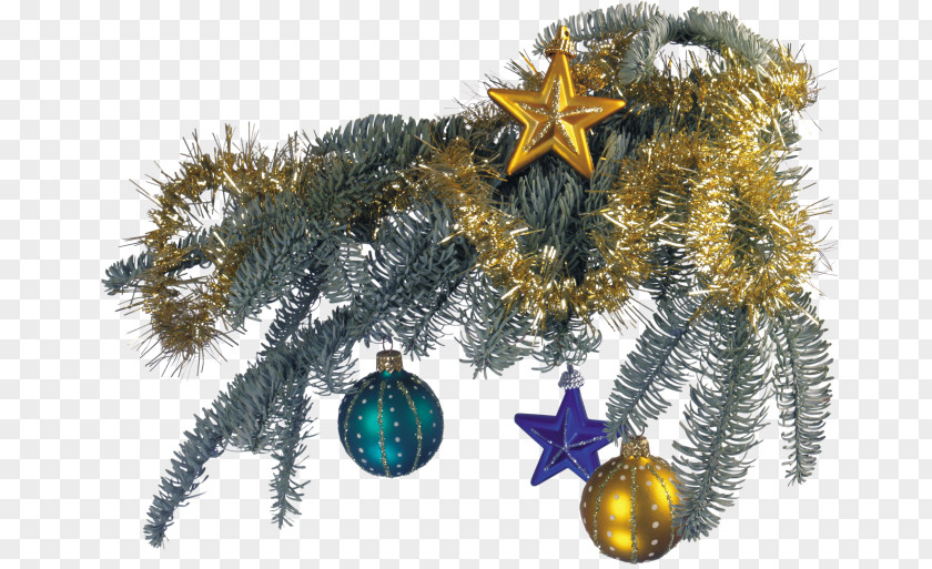 Christmas New Year Tree Ded Moroz Holiday PNG