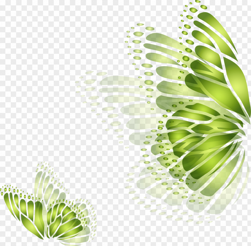 Drawing Beautiful Butterfly Wings Green Wallpaper PNG