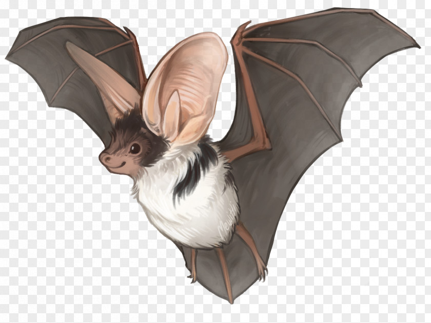 Hand Painted Bat Kitti's Hog-nosed Drawing Spotted Common Vampire PNG