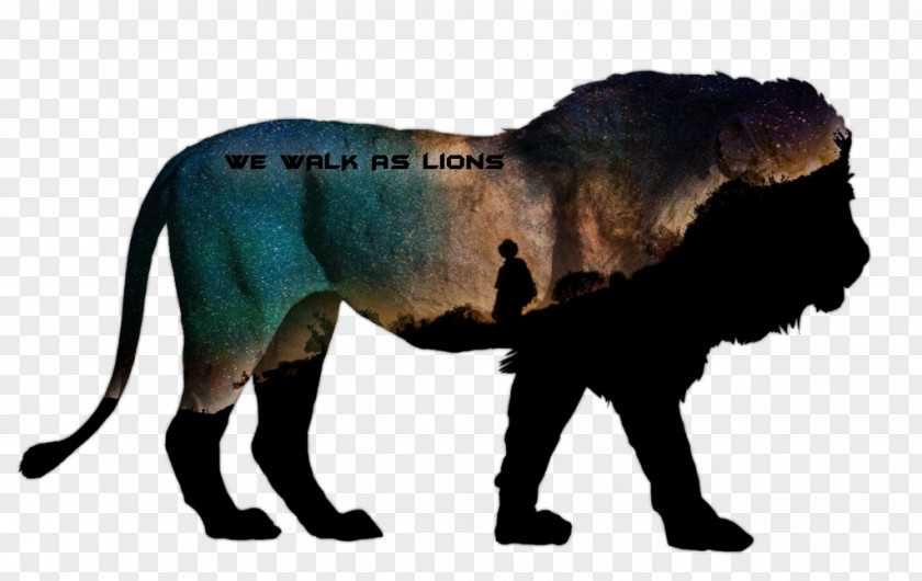 Lion Lions Skillet Animal PNG