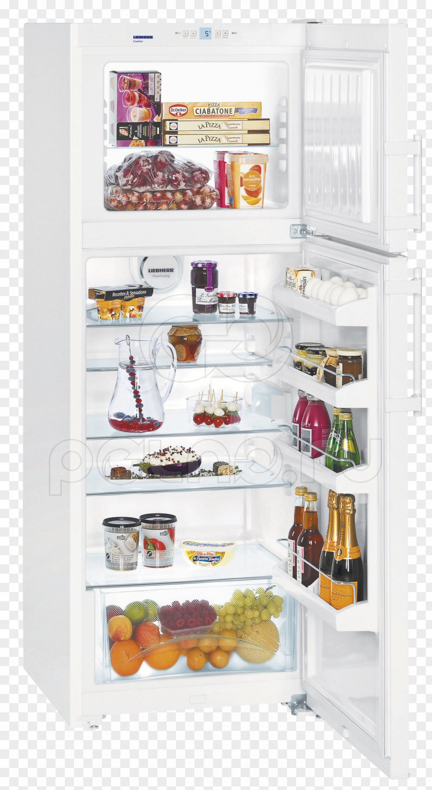 Refrigerator Liebherr Fridge-freezer Cm. 60 H 161 CTP 2921 Comfort Price PNG