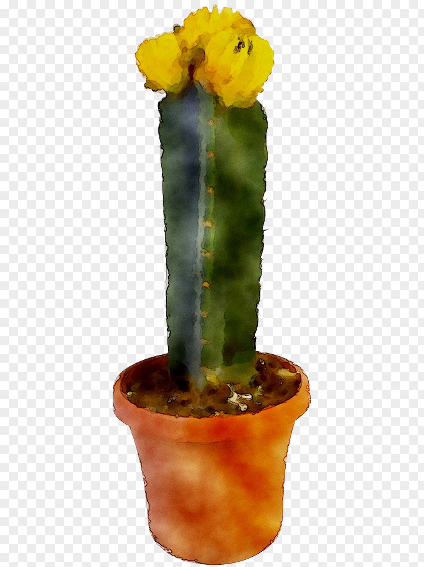 Eastern Prickly Pear Cactus Echinocereus Flower Plant Stem PNG