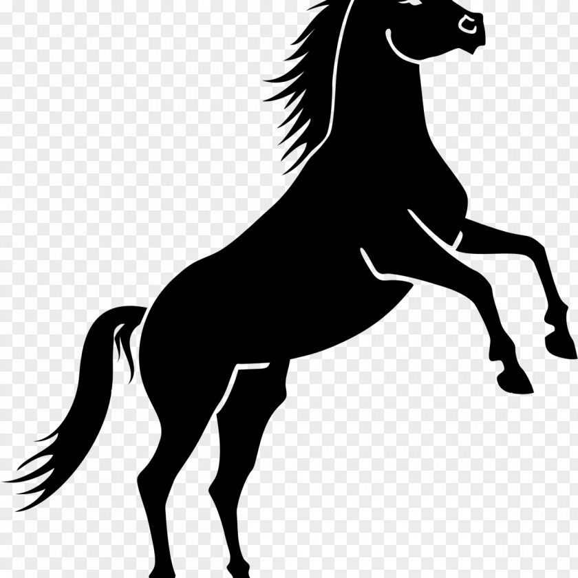 Horse Equestrian Black Clip Art PNG